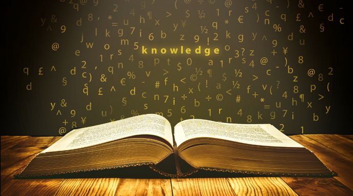 Understanding Epistemological Presuppositions