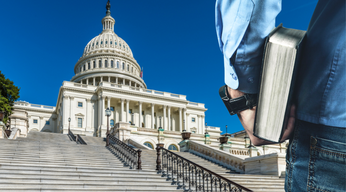 How to Maximize Your Influence on The Hill