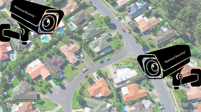 Is the Constitution a Threat to National Security?