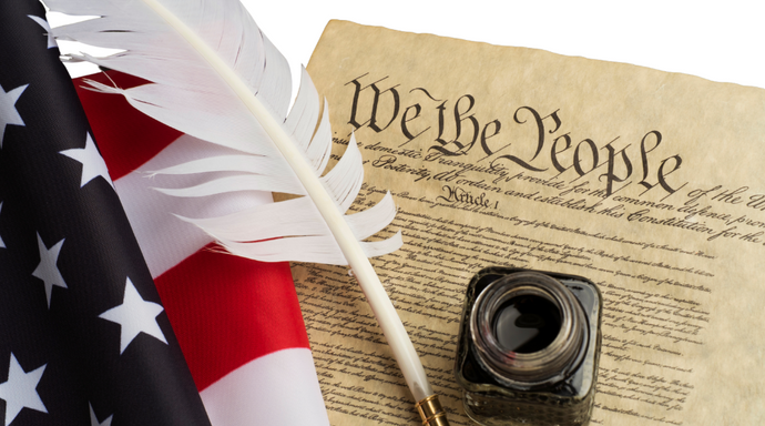 What Can the Constitution Do For You?