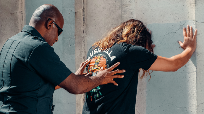 What Makes a Search Reasonable