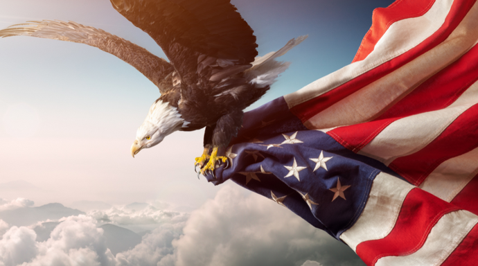 Lives, Fortunes, and Sacred Honor