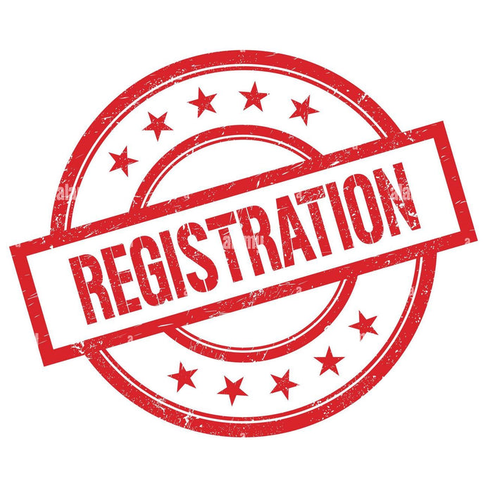 Comprehensive Study of the Delaware State Constitution