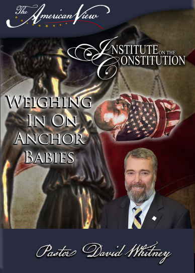 Weighing in on Anchor Babies Digital Download